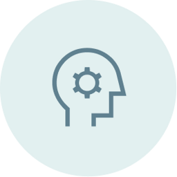 AI Implementation